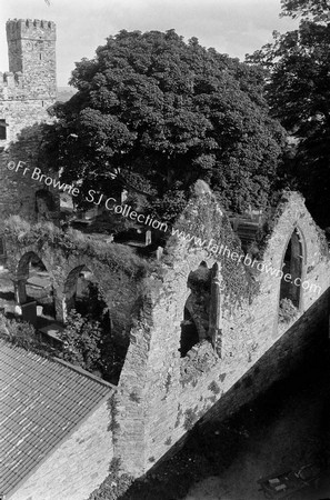 SELSKAN ABBEY FROM TOP OF N.GATE